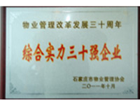 �ۺ�ʵ��ʮ��ǿ��ҵ