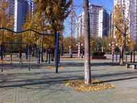 ��ǿ����С��