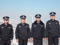 ����ѩ�ص����ɷ��